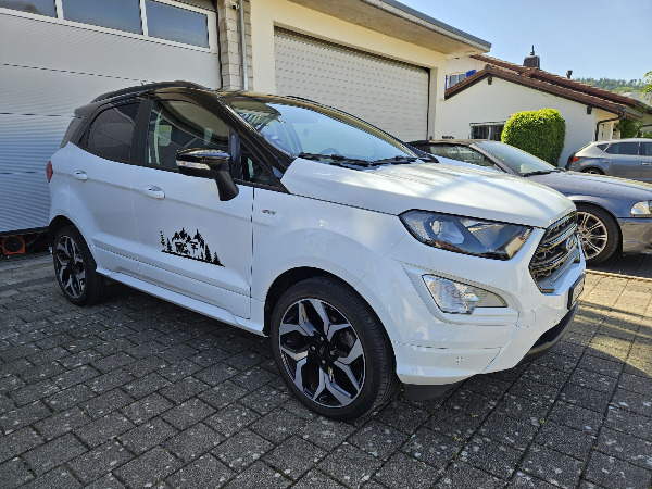 Ford EcoSport 1.0 SCTi Top Zustand