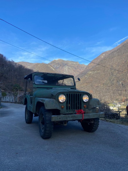 Jeep cj5 willys