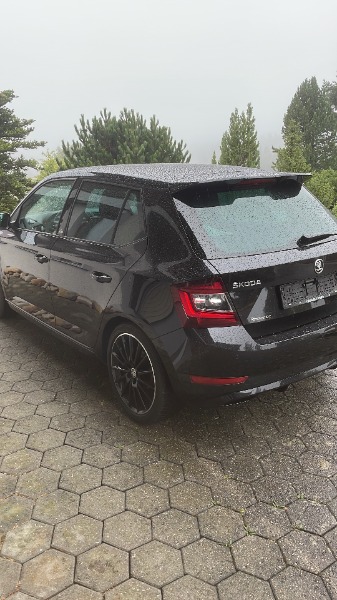 Skoda Fabia 1.0 Monte Carlo