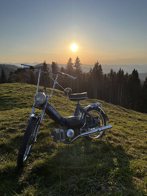 Puch maxi n
