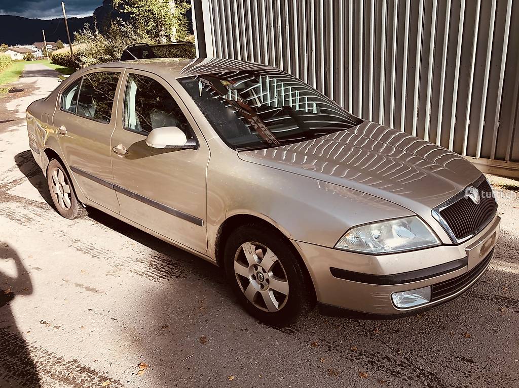Skoda Octavia 1Z Teile