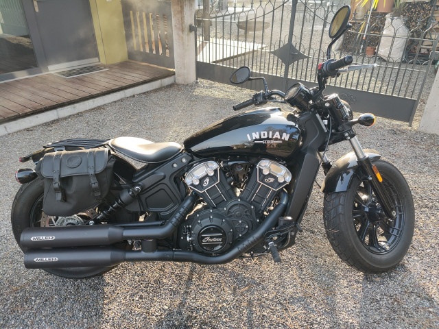 INDIAN Scout Bobber