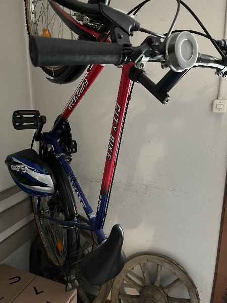 Citybike Velo inkl. Helm