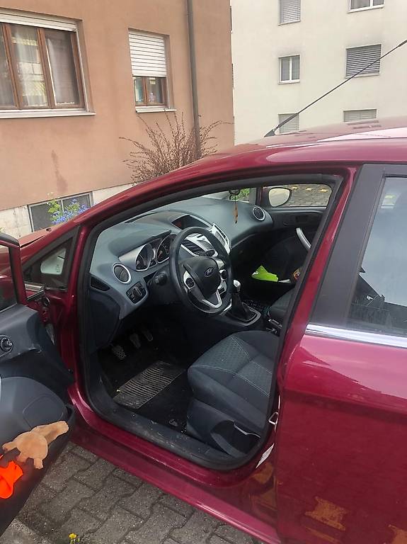 Ford Fiesta in sehr gutem Zustand