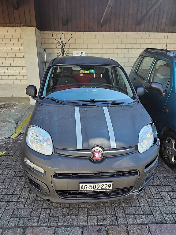 Fiat panda mit pizzaofen