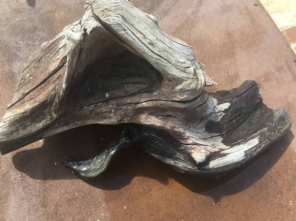 Schöne Baumwurzel und Velo Kindersitz