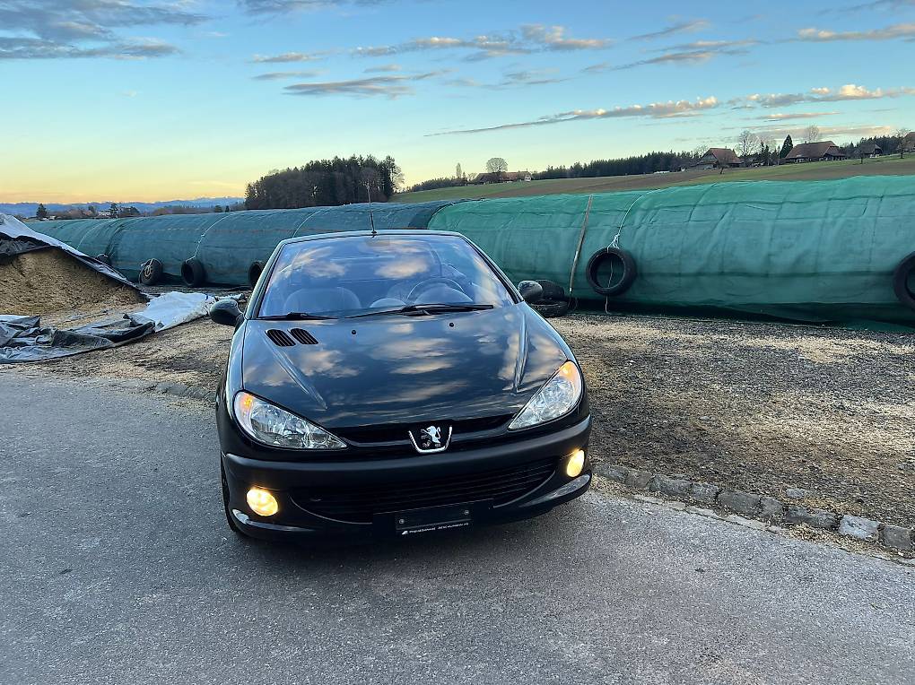 Peugeot 206 2.0CC 2.0 mfk ist am 1.2024 gemacht