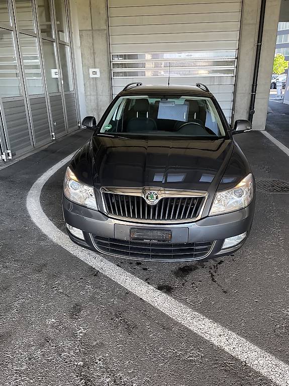 Skoda Octavia 1,4 ab Platz 3900