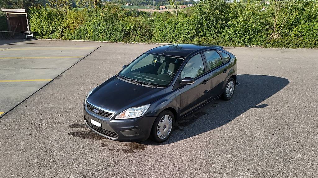 FORD Focus 1.6i VCT Carving (2009)