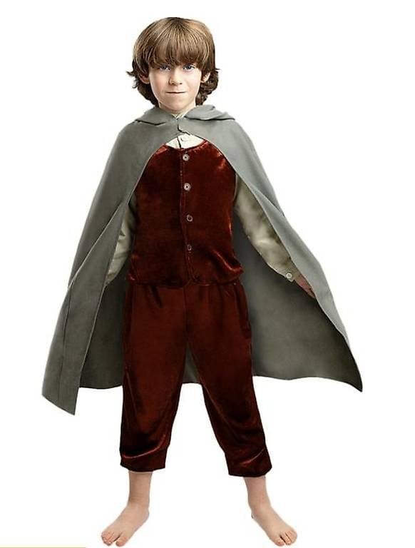 Costume carnevale Frodo