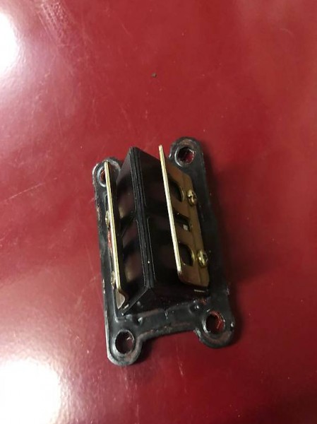 4klapp membrane neu