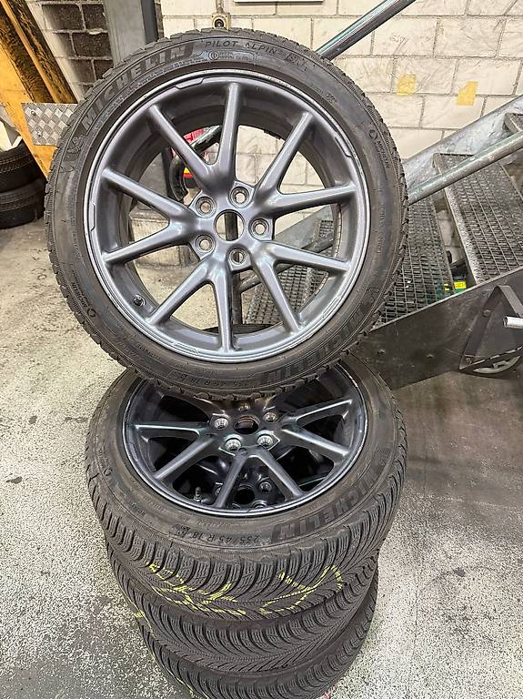 Felgen mit Winter Reifen für Tesla Model 3? 600 CHF